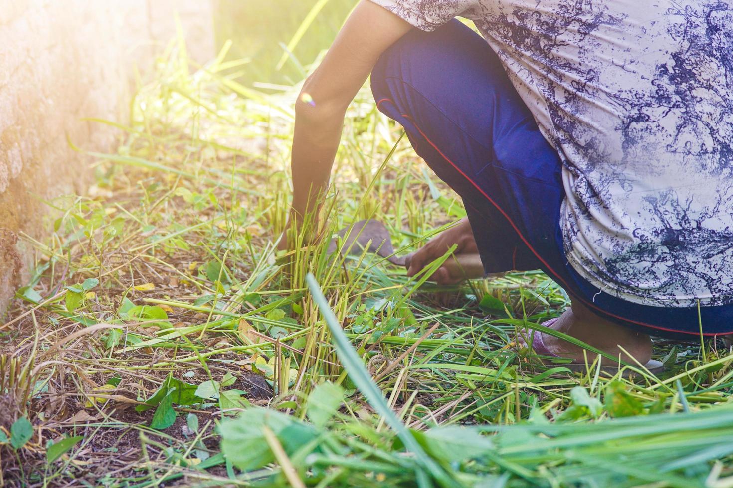 a farmer cutting the weeds with a sickle photo