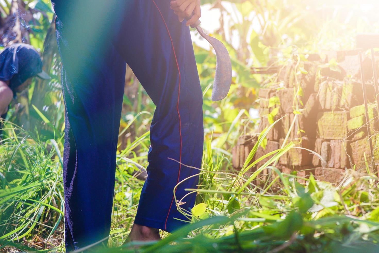 a farmer cutting the weeds with a sickle photo