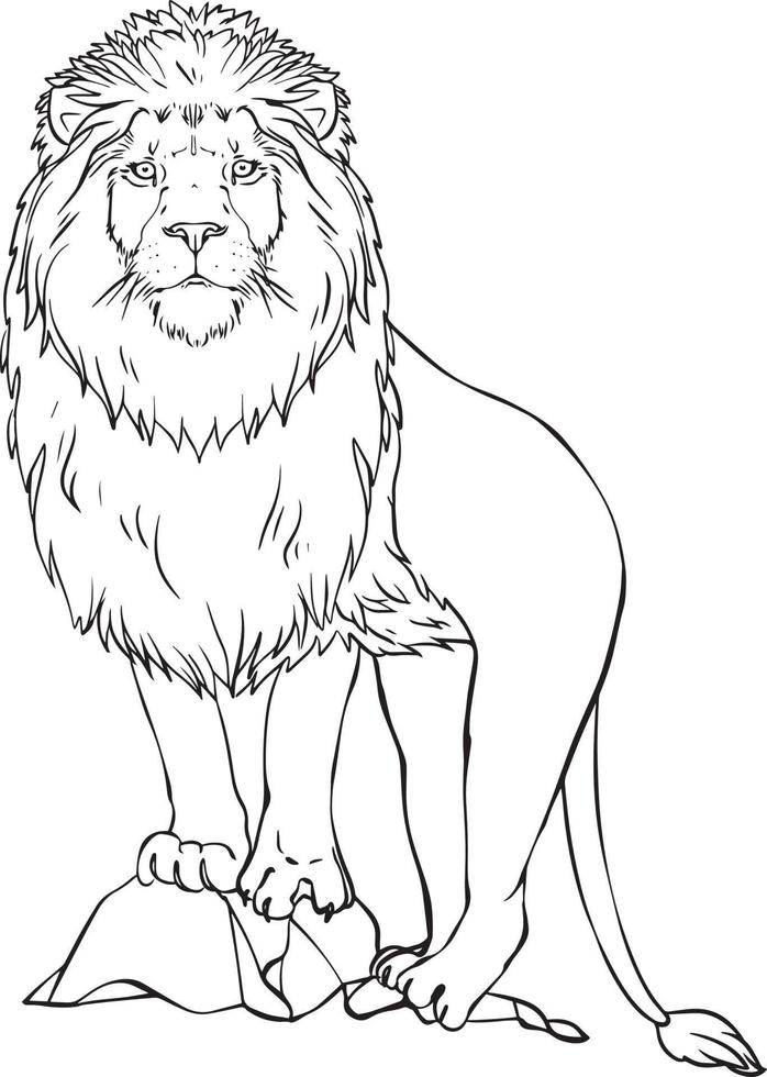 Lion. Black and white vector drawing. For illustrations and colouring books.