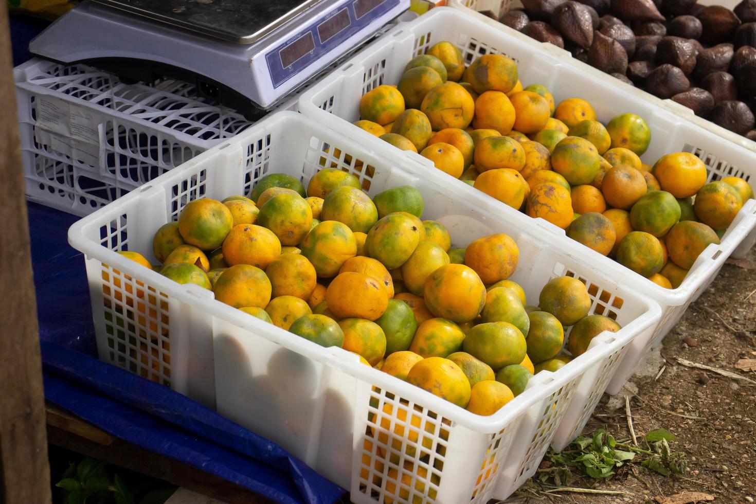 oranges sold by Indonesian street vendors photo