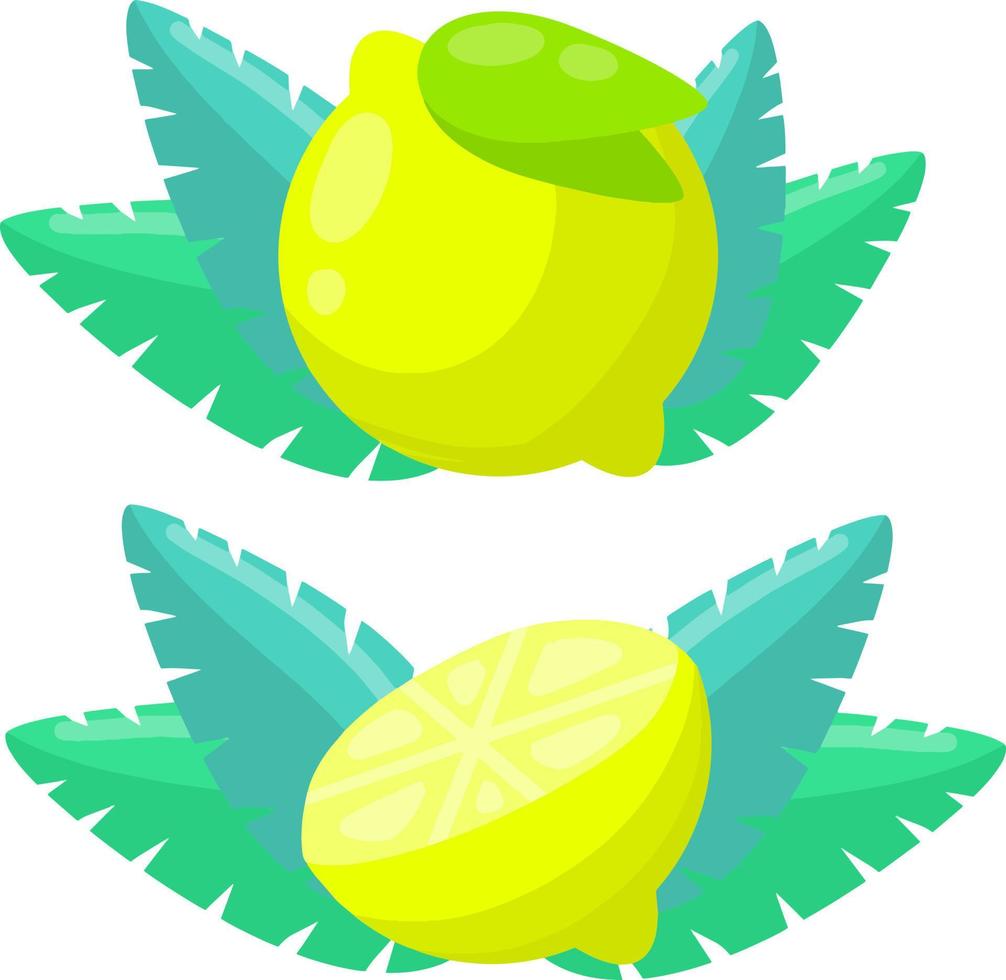 Lemon and green lime. Yellow sour fruit. Set of objects with vitamin C. Cut food. Cartoon flat illustration. Drop of juice. Icon logo vector