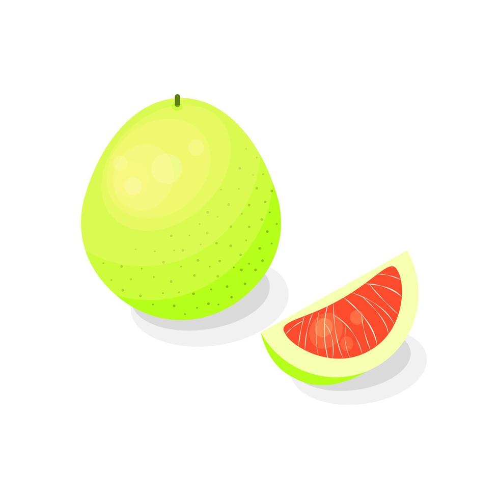 Pomelo fruit in cartoon style. vector