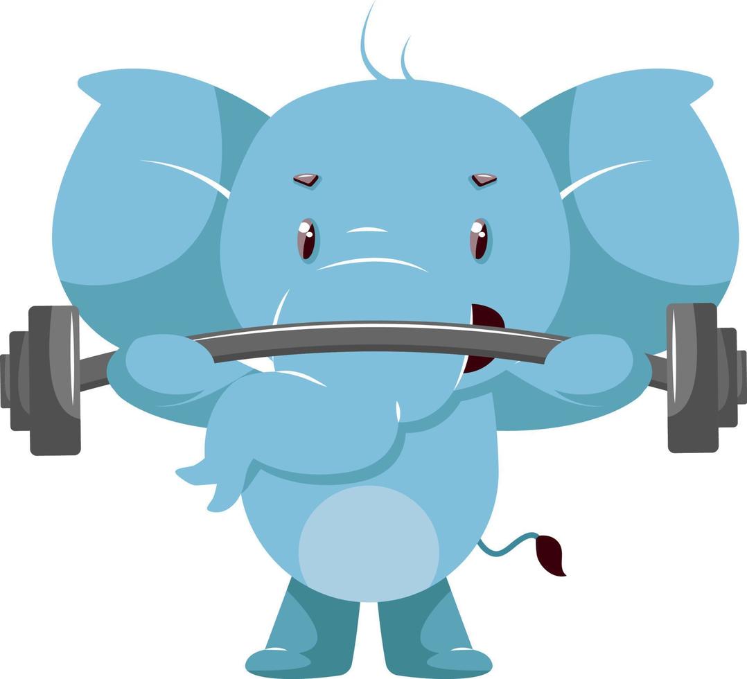 Elephant lifting weights, illustration, vector on white background.