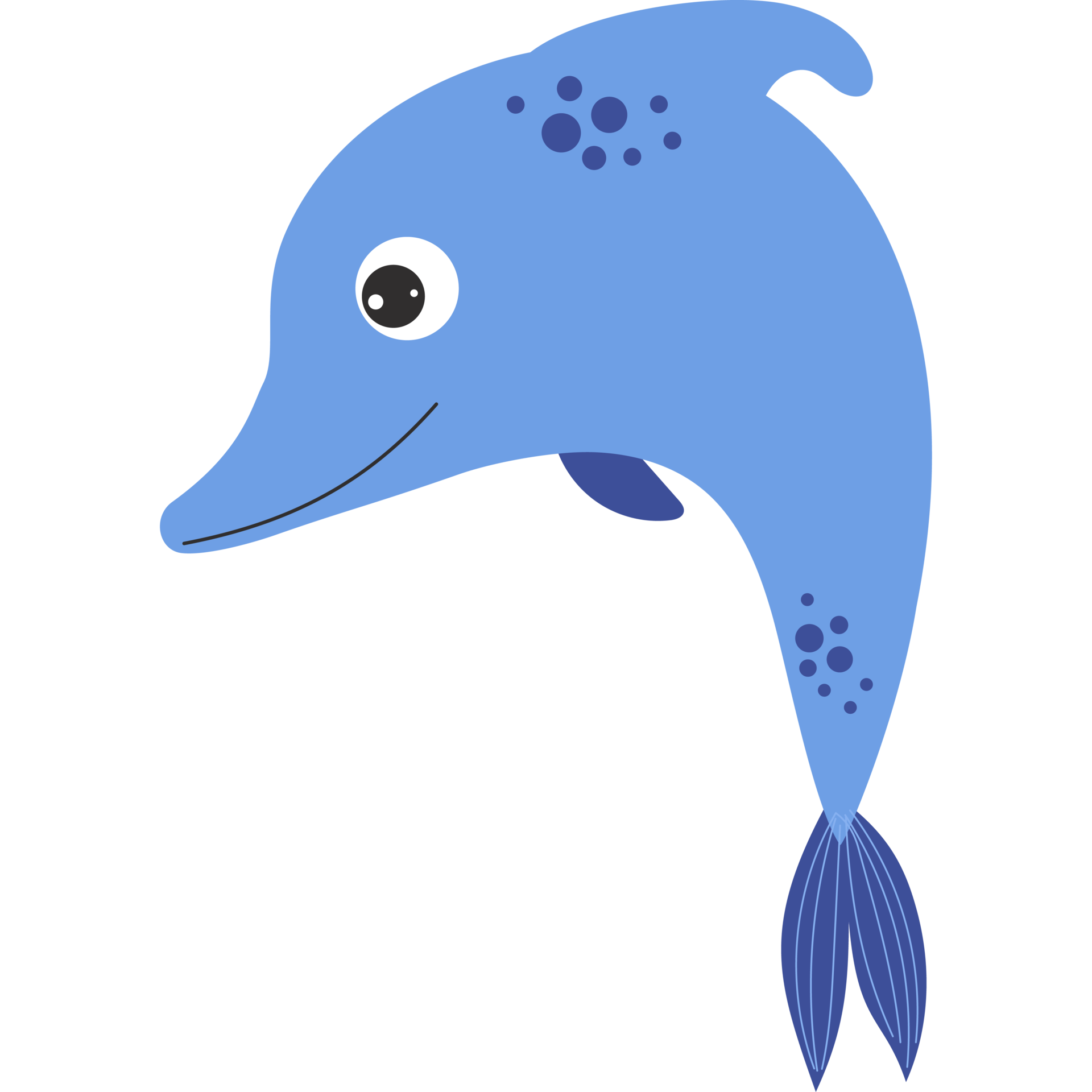 Free Sea animal. beautiful dolphin 13858989 PNG with Transparent Background Free Sea animal. beautiful dolphin 13858989 PNG with Transparent Background