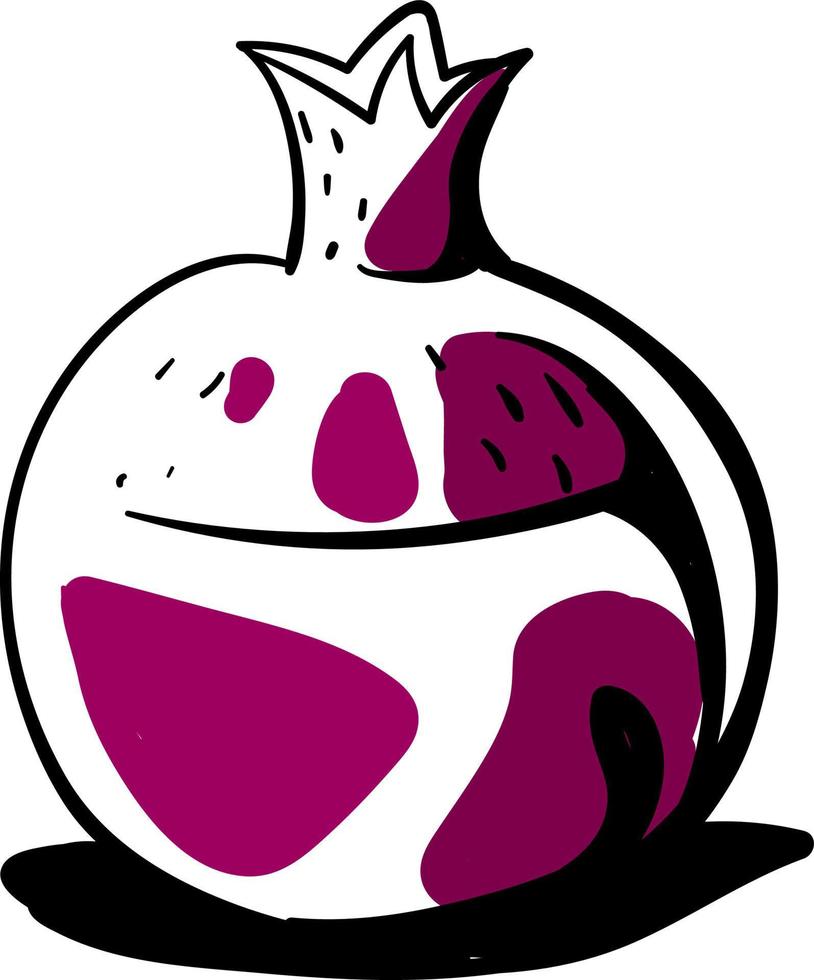 Pomegranate drawing, illustration, vector on white background.