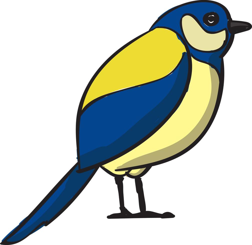 Fat bird, illustration, vector on white background.