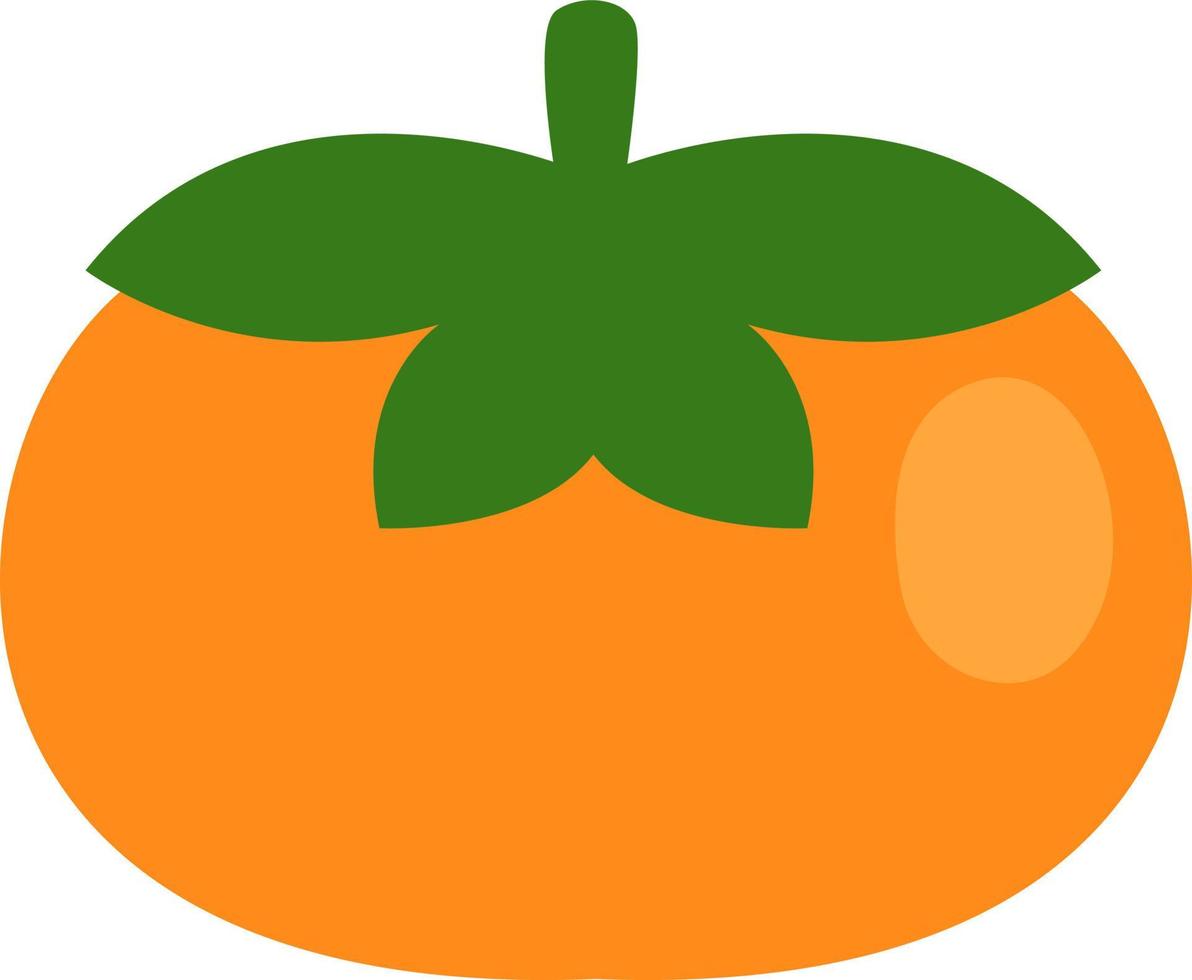 Kaki apple, illustration, vector on a white background.