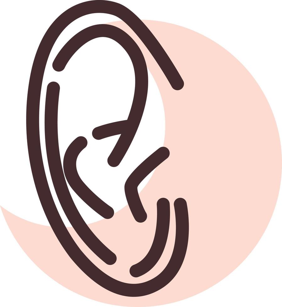 Human ears, illustration, vector on a white background.