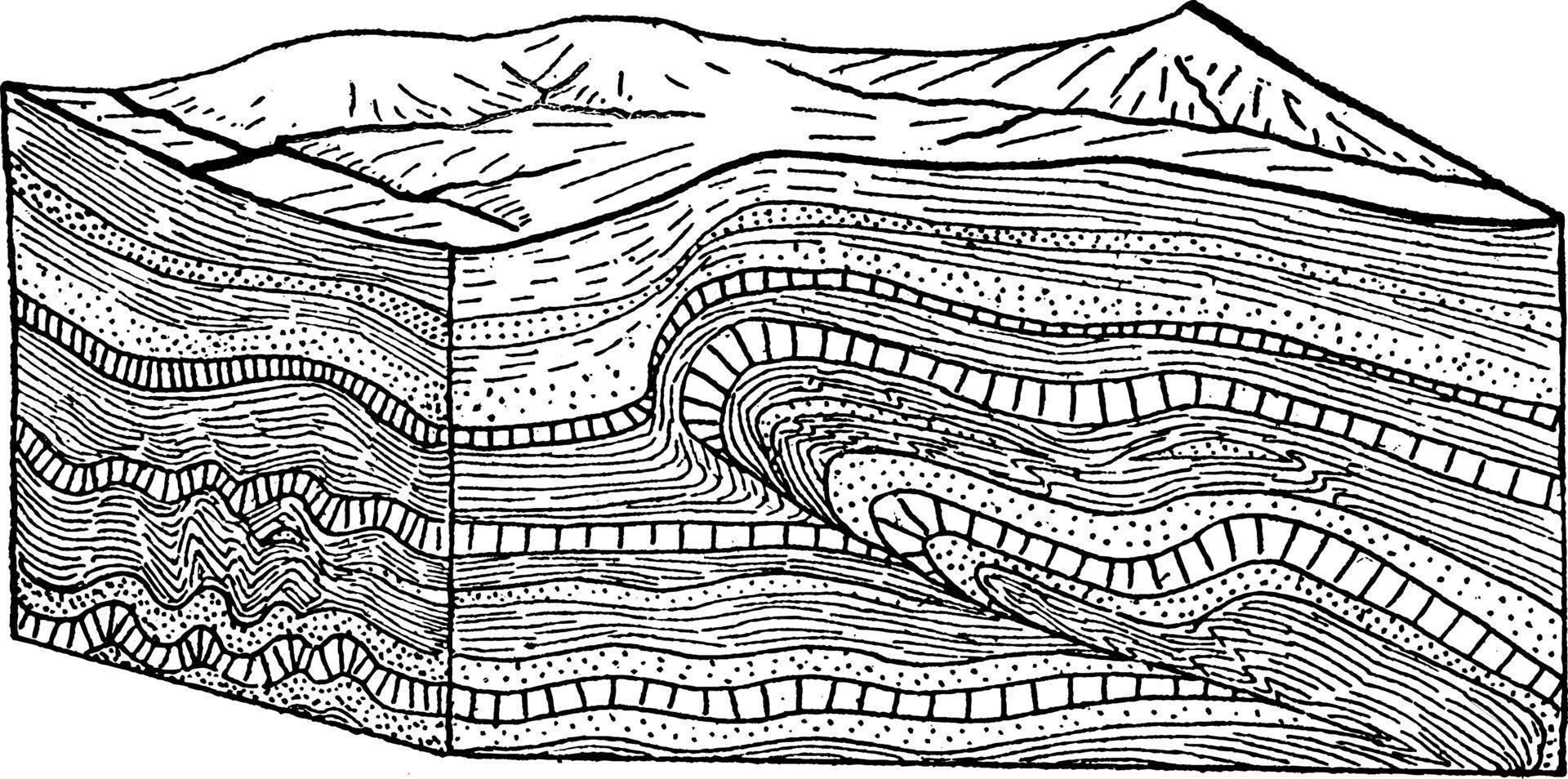 Thrust Fault into Fold, vintage illustration. vector