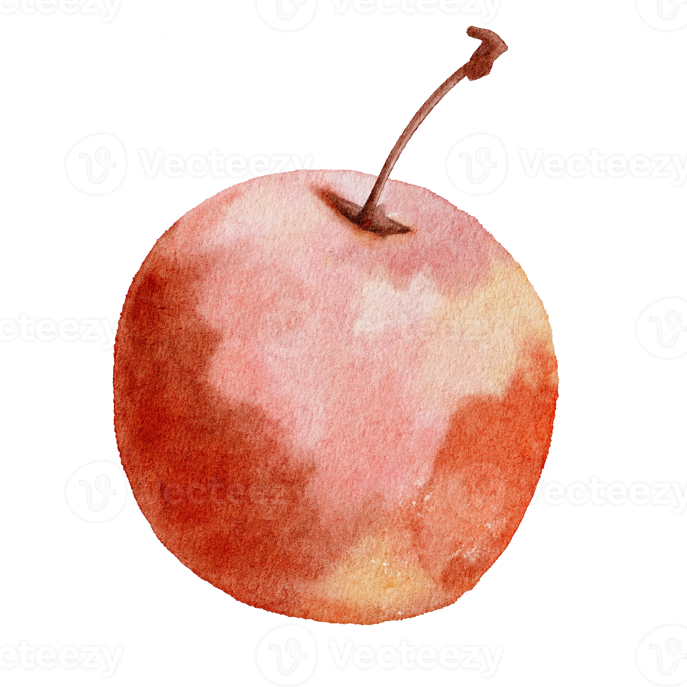 waterverf illustratie rood appel png