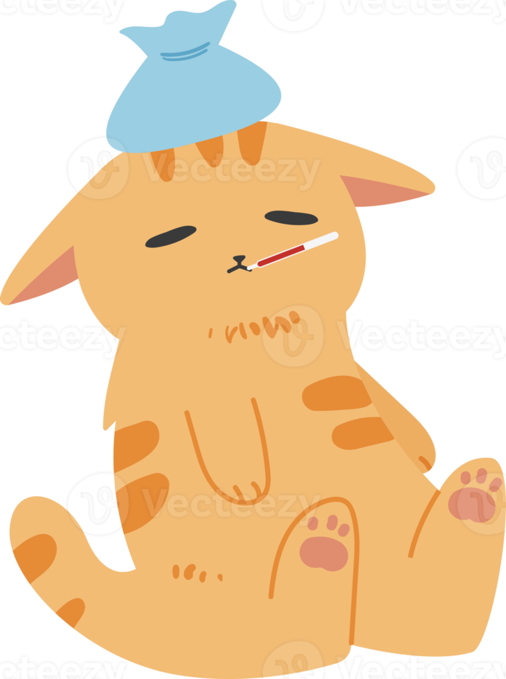 Cute Veterinarian Cat png