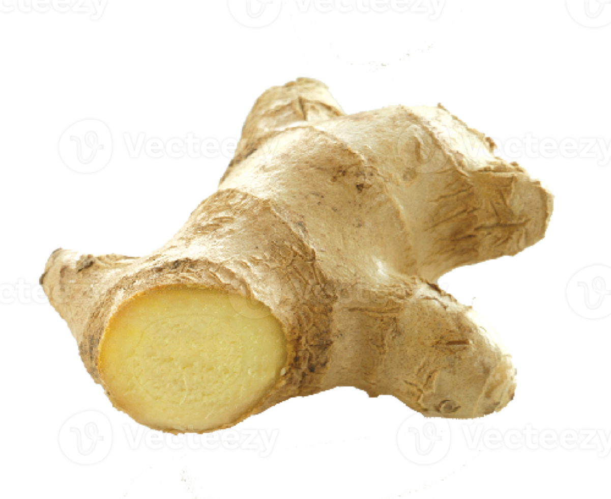 ginger on transparent background png