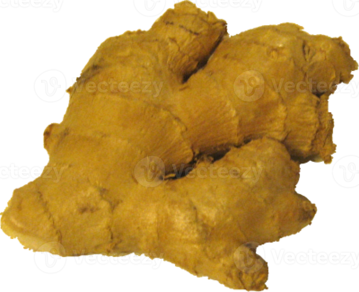 ginger on transparent background png