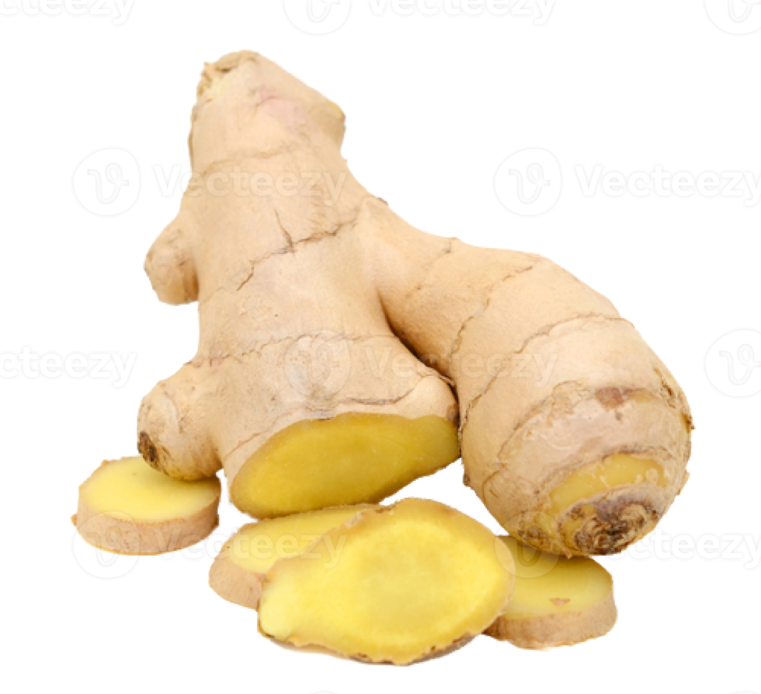 ginger on transparent background png