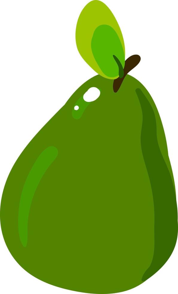 guayaba verde, ilustración, vector sobre fondo blanco.