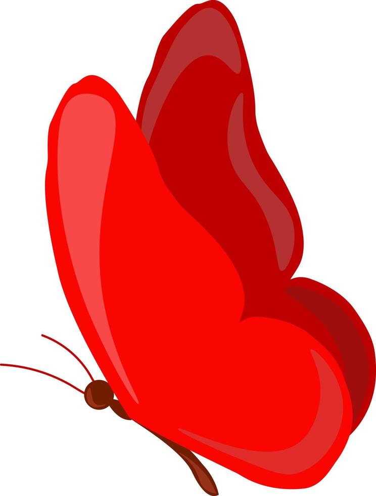 Red butterfly, illustration, vector on white background.