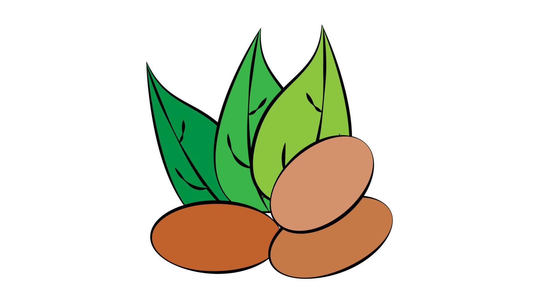 nuts on a white background, vector illustration. nuts lie on the ground, under green oblong leaves. nuts for food, ground product, farming, eco-friendly products