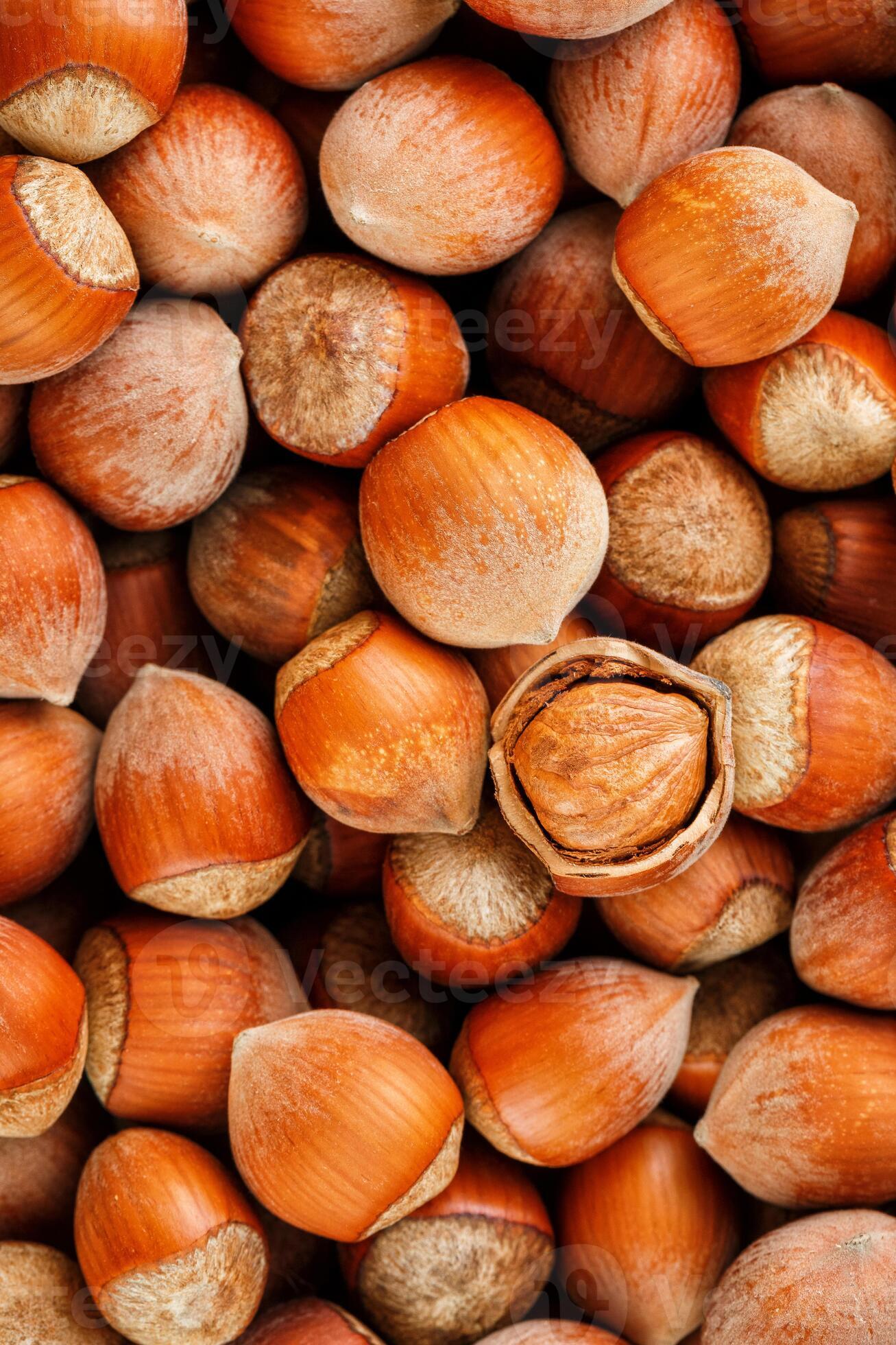 Hazelnuts. Stack of hazelnuts. Food background. Hazelnut background