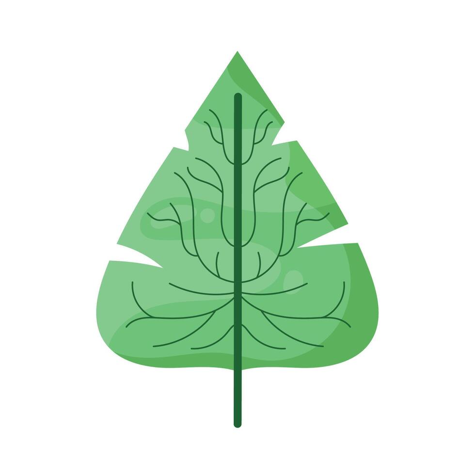 classic leave foliage plant vector