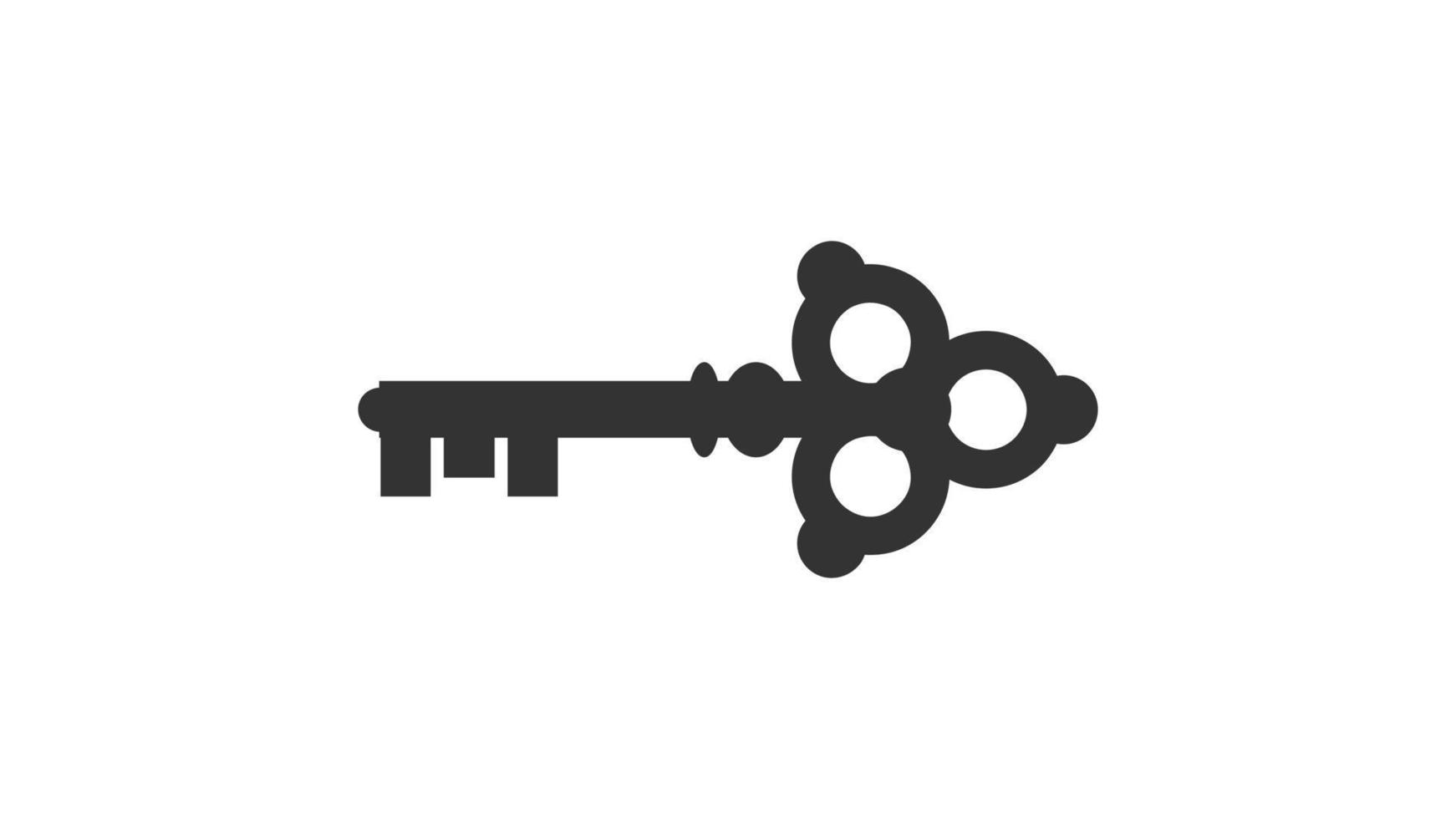 Key icon isolated on white background. vector