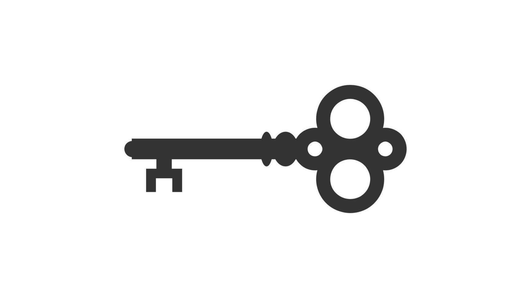Key icon isolated on white background. vector