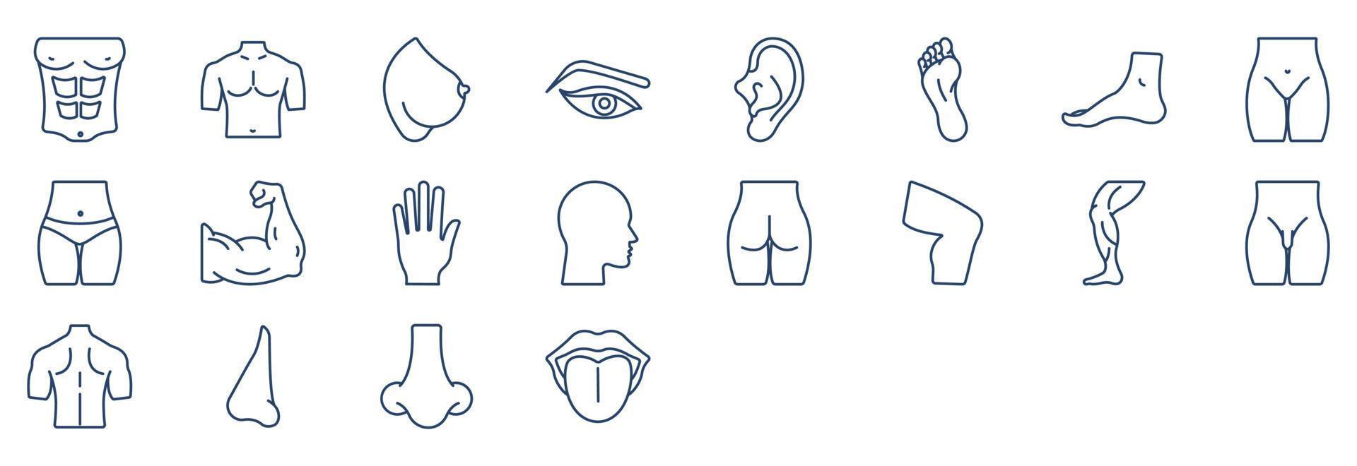 Collection of icons related to Human Body Parts, including icons like Body, Brest, Eye, Eyes and more. vector illustrations, Pixel Perfect set