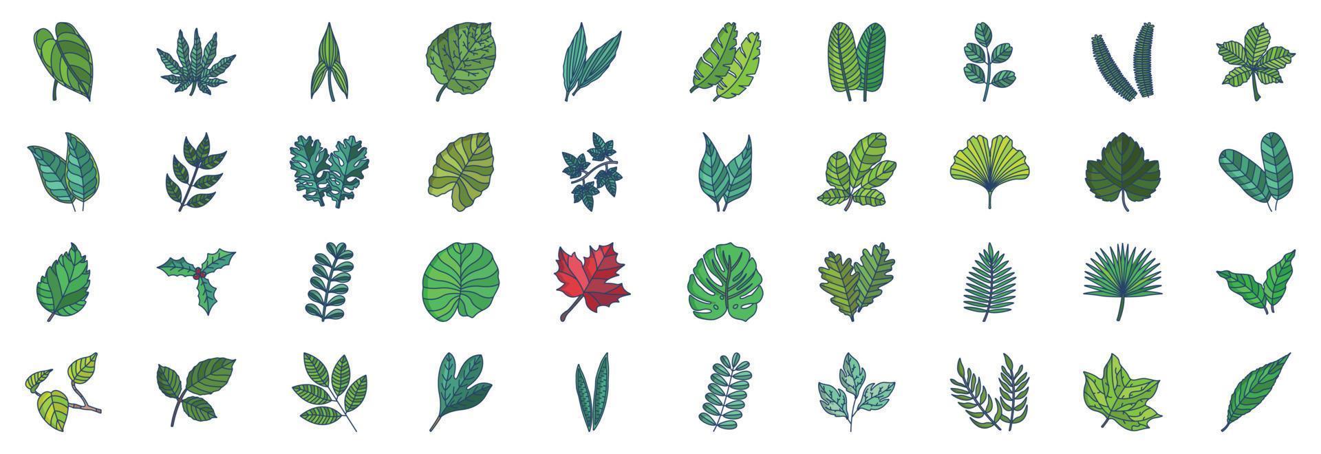 Collection of icons related to Leaves, including icons like Anthurium, Aralia, Aspidistra, Chestnut, Citrus and more. vector illustrations, Pixel Perfect set