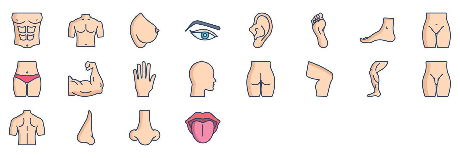 Collection of icons related to Human Body Parts, including icons like Body, Brest, Eye, Eyes and more. vector illustrations, Pixel Perfect set