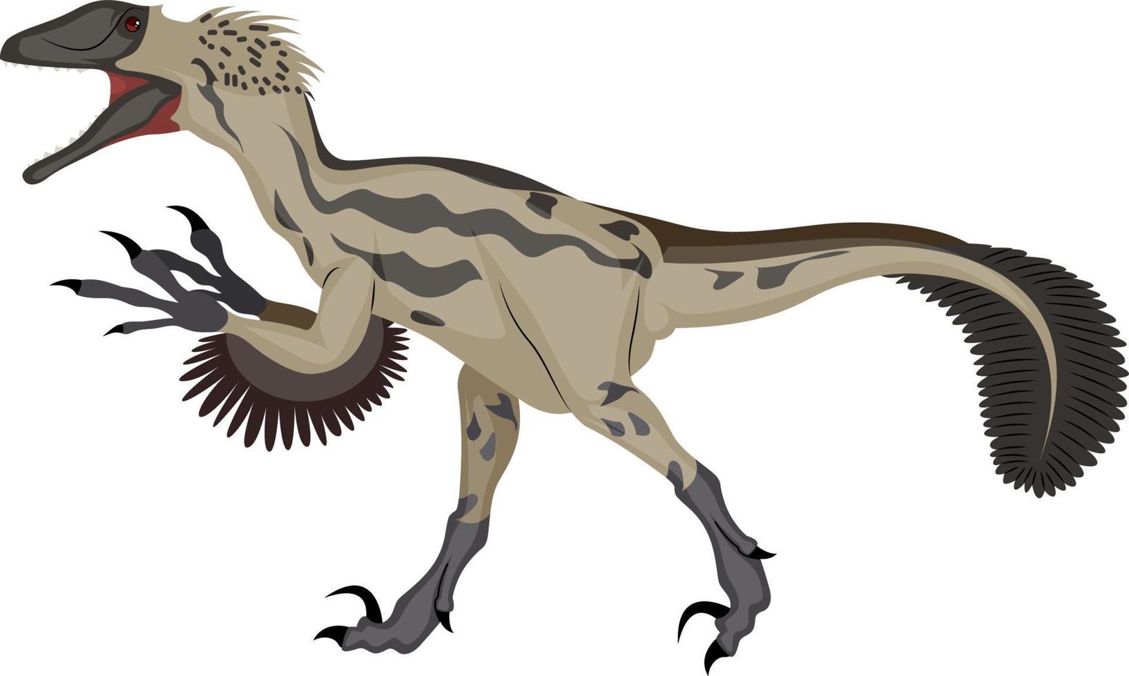 Deinonychus, illustration, vector on white background.