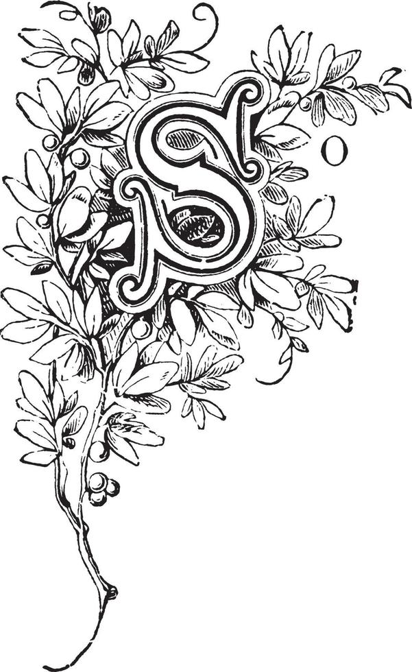 S, Floral, vintage illustration vector