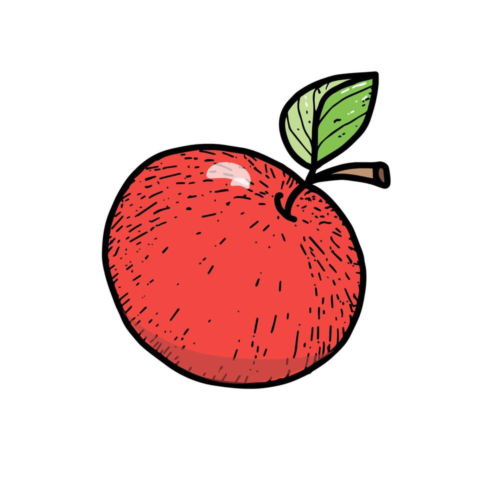 Red apple, a hand-drawn sketch-style doodle. Big apple. Cartoon. Apple with a twig and a leaf. Simple vector isolated on white background