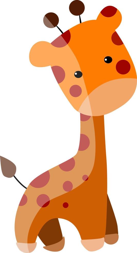 Linda pequeña jirafa, ilustración, vector sobre fondo blanco.