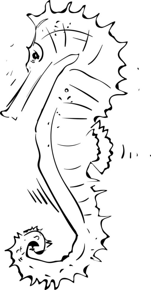 Seahorse drawing, illustration, vector on white background.