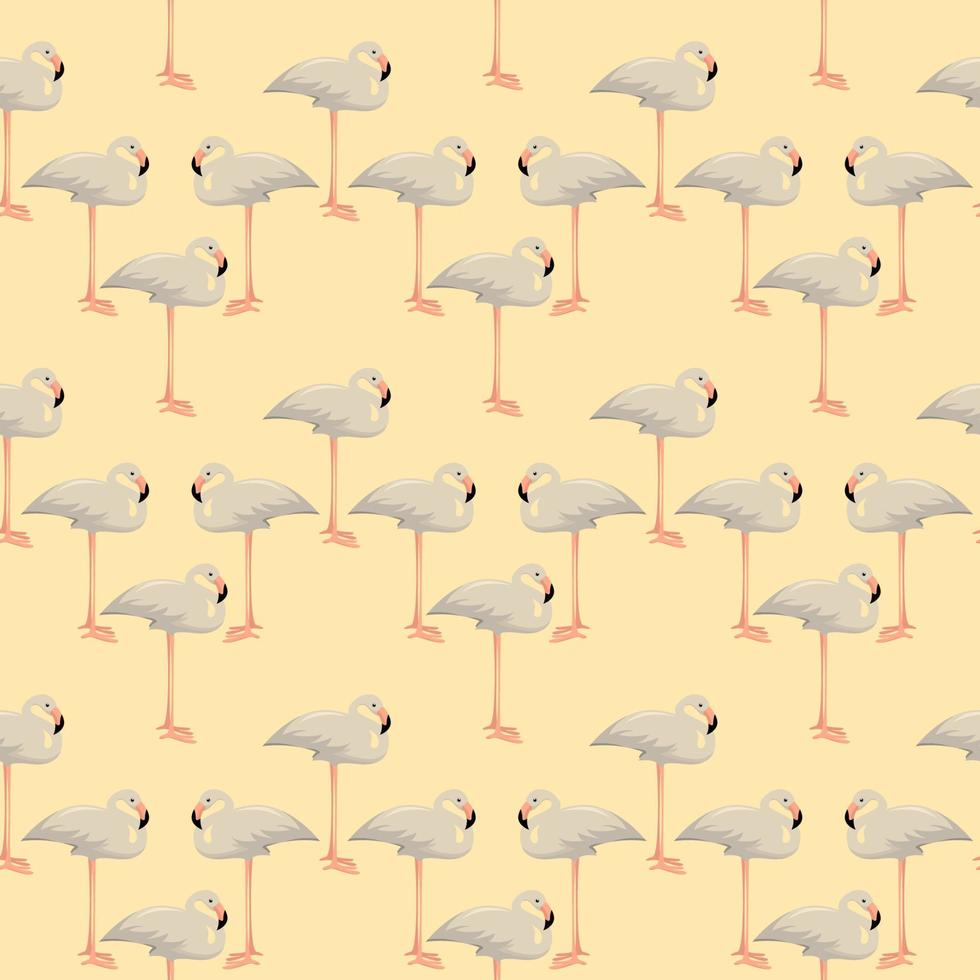 Albino flamingo, illustration, vector on white background