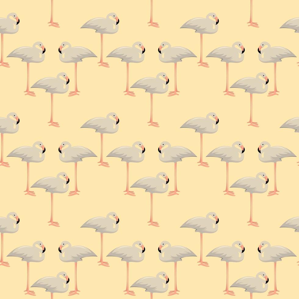 Albino flamingo, illustration, vector on white background