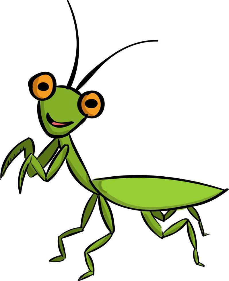 Green mantis, illustration, vector on white background.