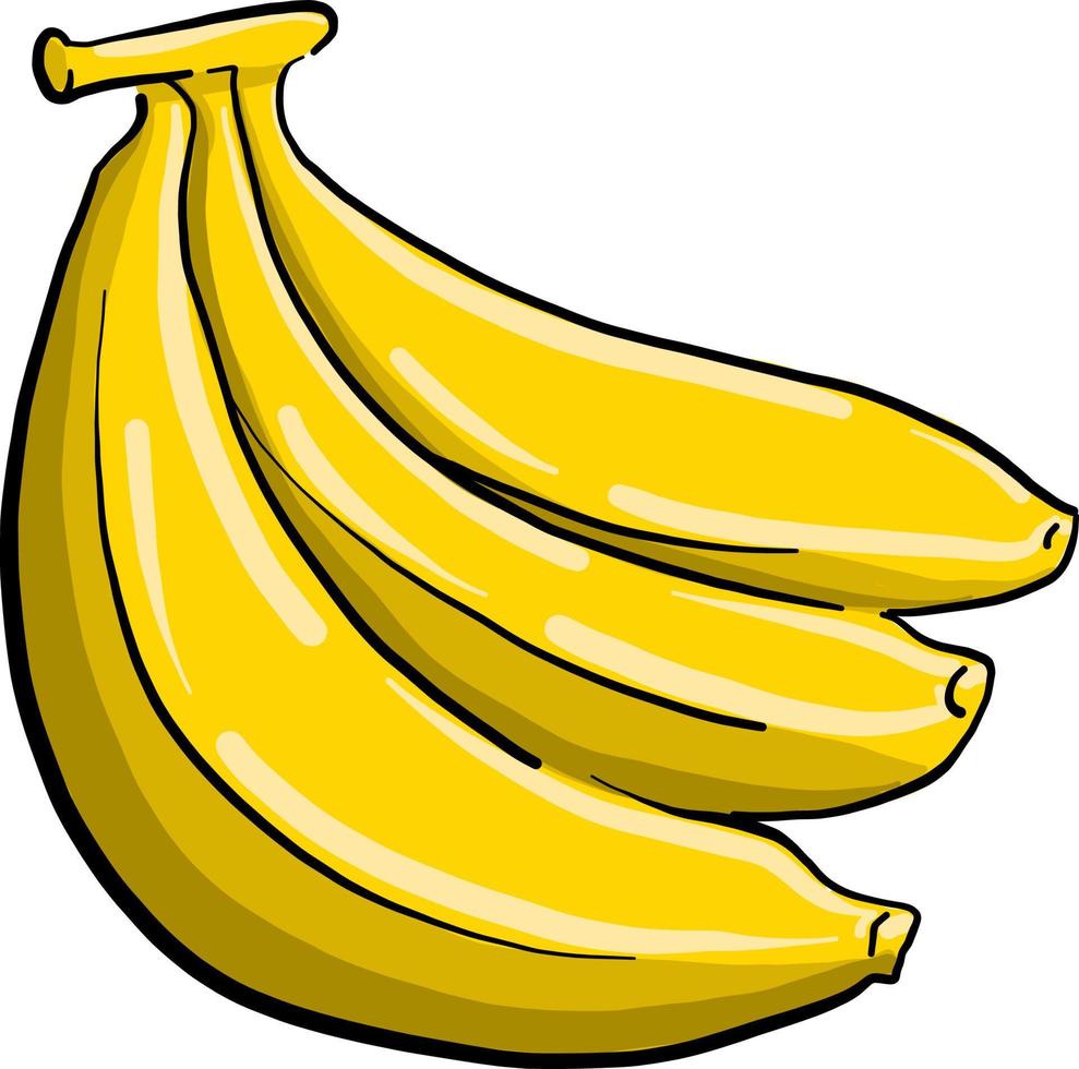 Pack of bananas , illustration, vector on white background