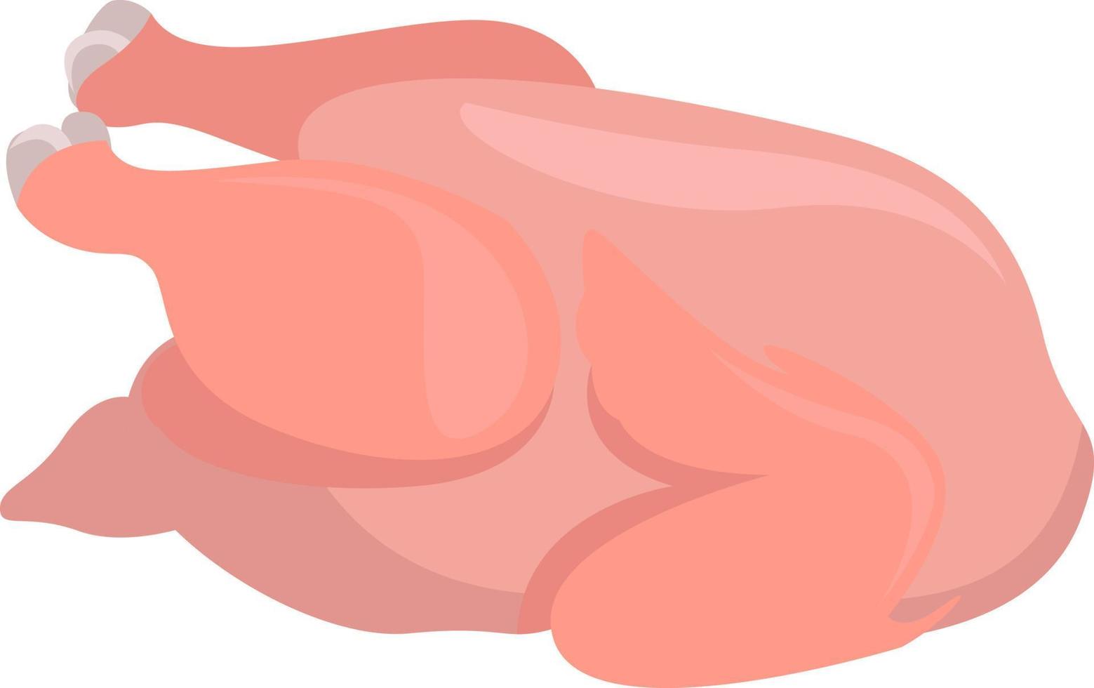 Raw chicken , illustration, vector on white background