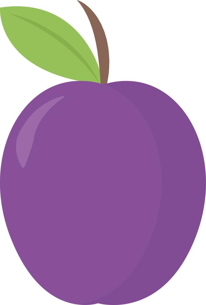 Fresh plum, illustration, vector on white background.