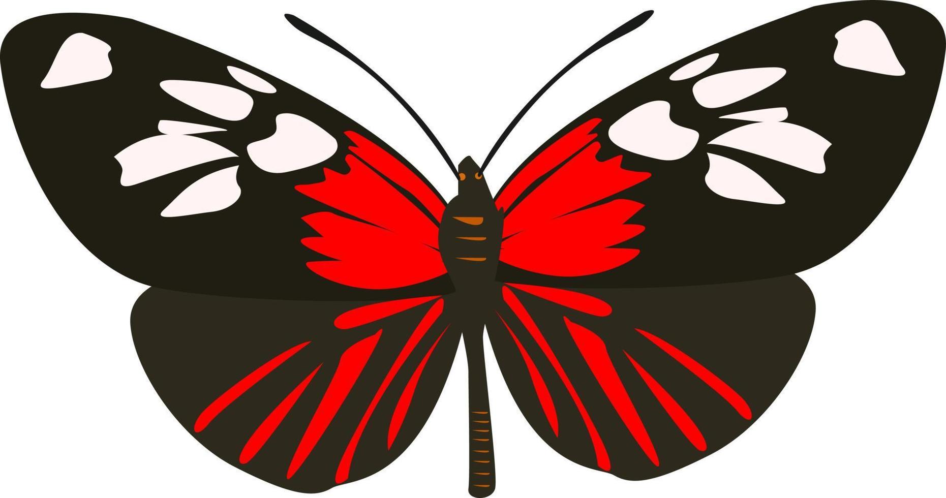 mariposa negra, ilustración, vector sobre fondo blanco