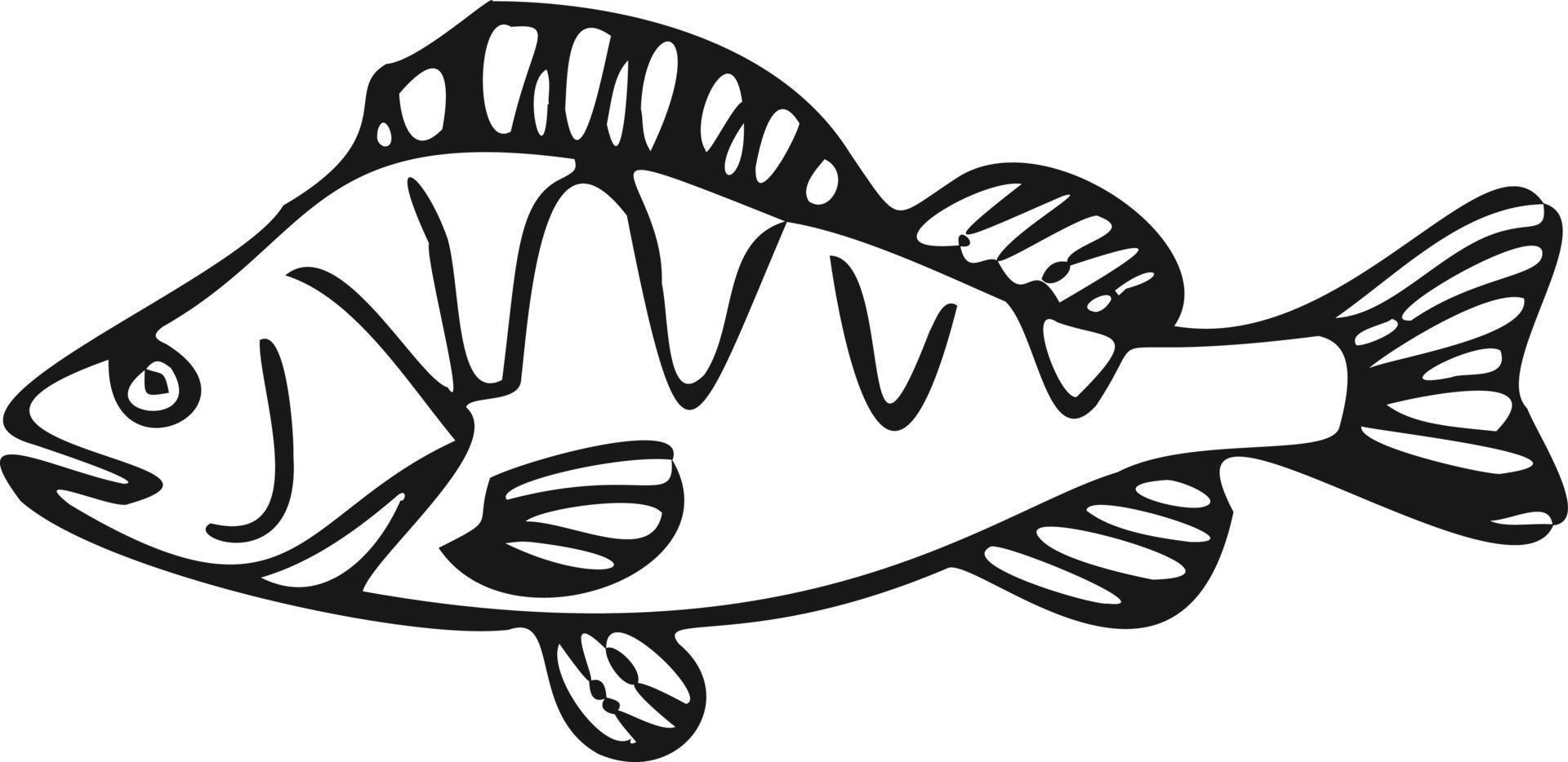 Modern icon fish line symbol. Vector white background