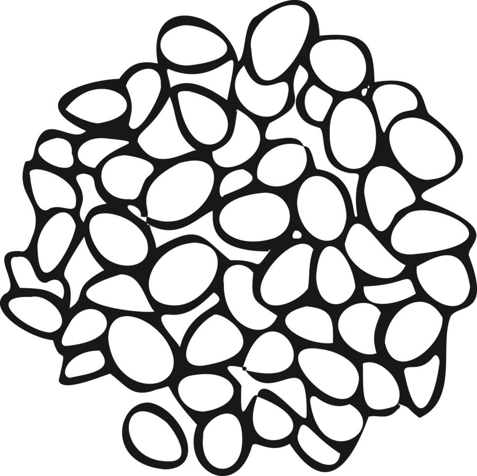 Modern icon pine nuts symbol. White background vector