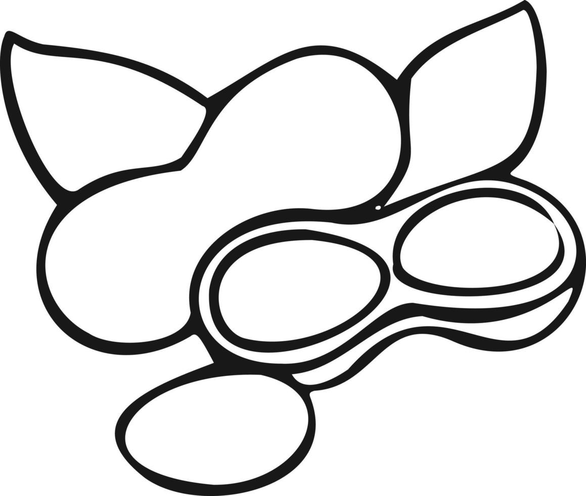 Modern icon peanut nuts symbol. White background vector