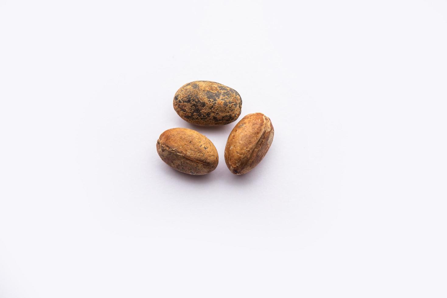 Jamalgota or Jayapala - Croton tiglium seed is an Ayurvedic medicine also known as purging croton photo