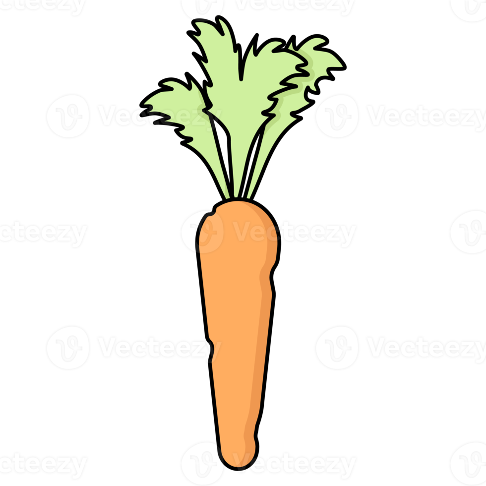 Juicy and ripe carrots png