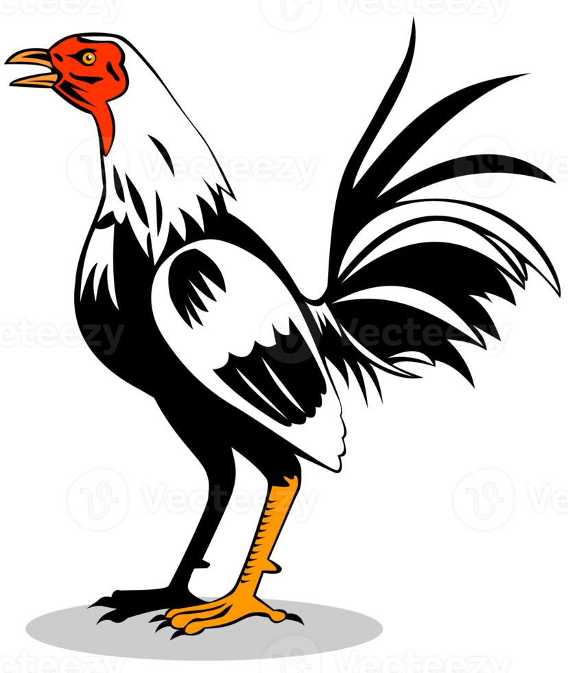 Rooster Cockerel Cock Retro png