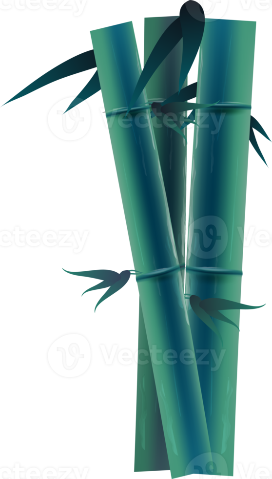 Chinese Bamboo Illustration png