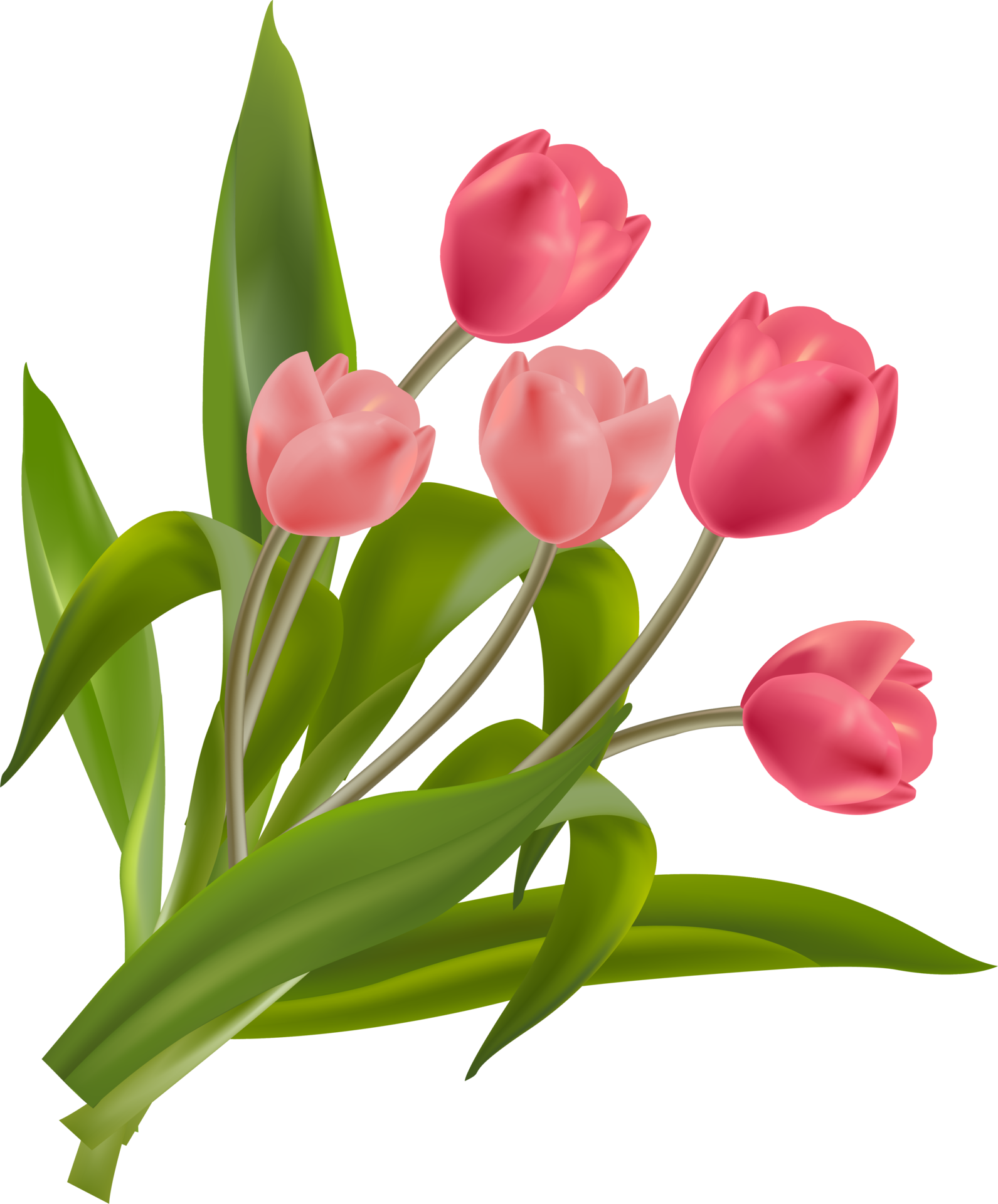 Tulip Floral Bouquet Illustration 13869711 PNG