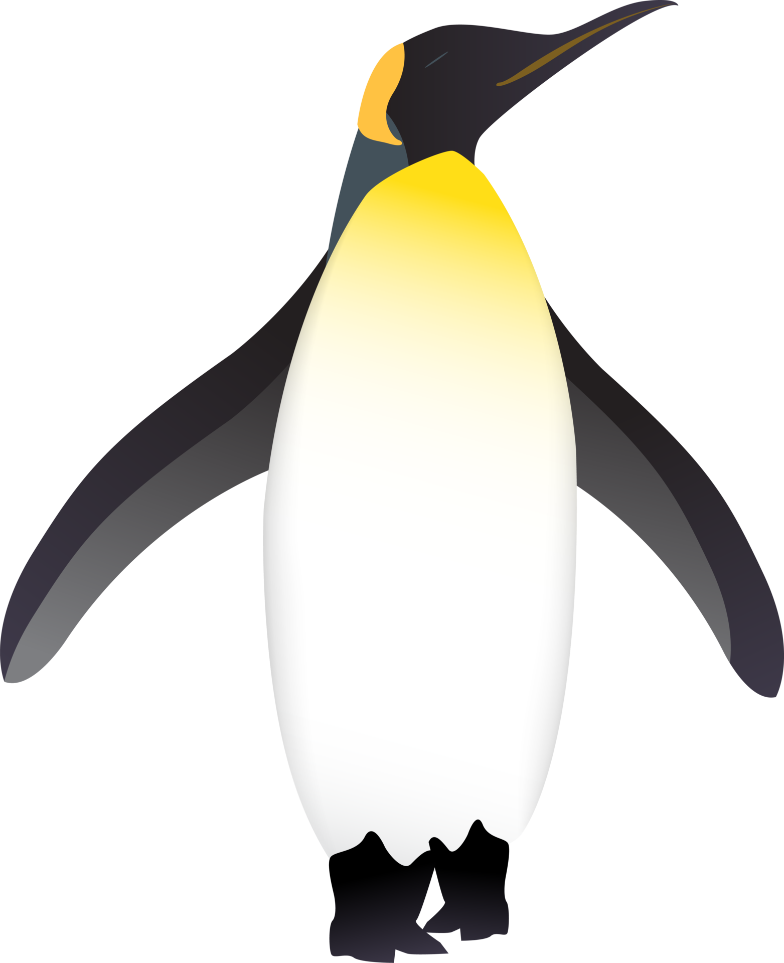 Cartoon Bird png download - 1600*2300 - Free Transparent Club Penguin png  Download. - CleanPNG / KissPNG