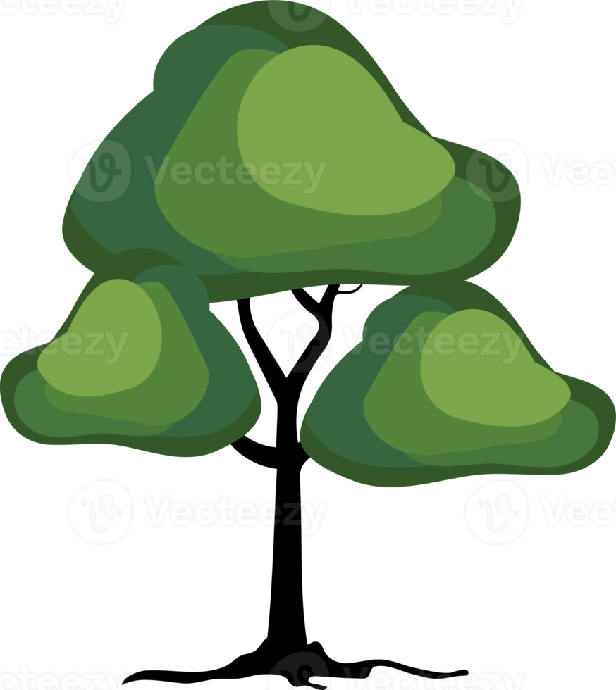 Organic Tree Illustration png